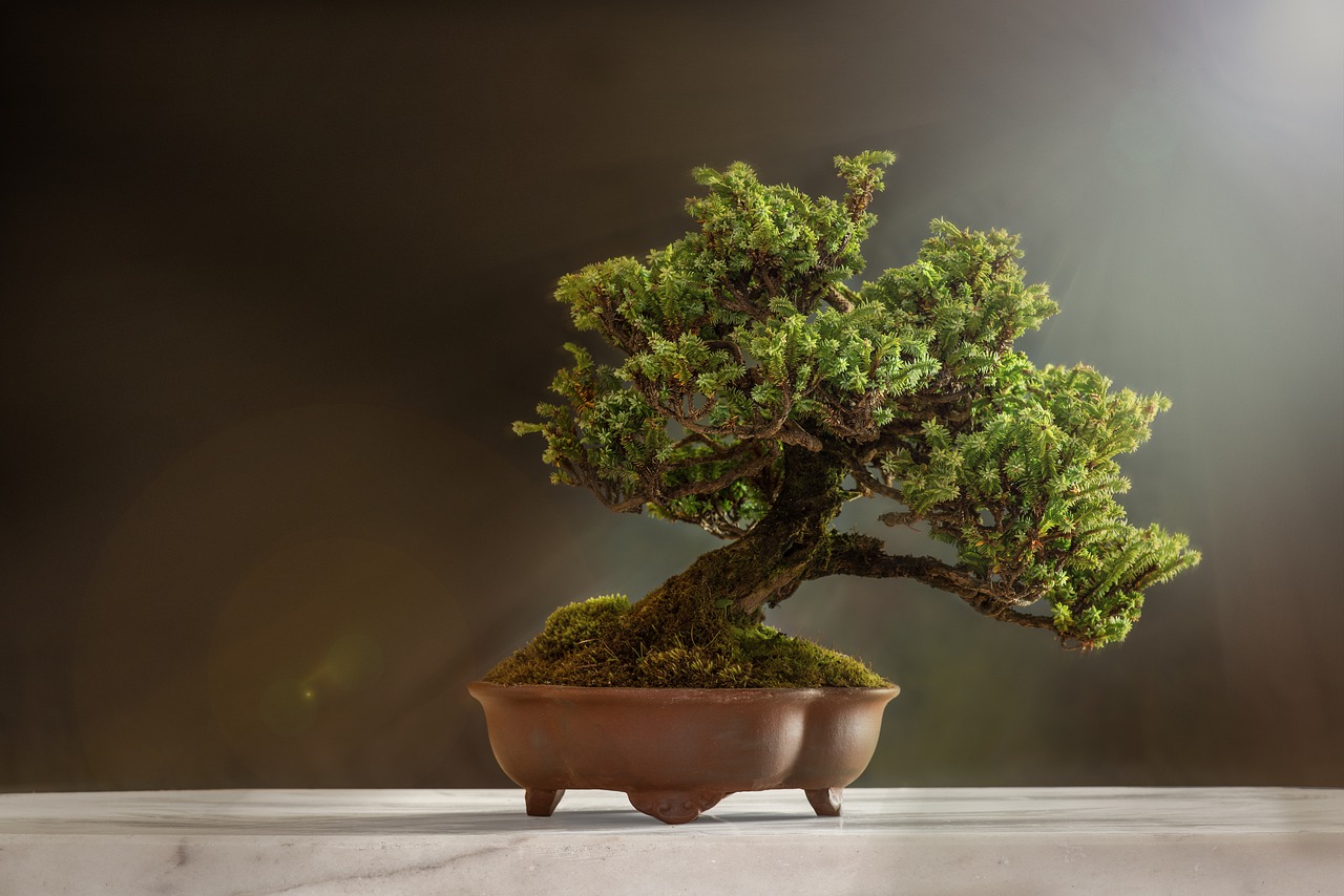 Sztuczne drzewko bonsai